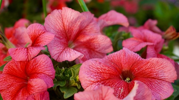 10 astuces pour des décorations de fête DIY